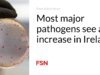 Sebagian besar patogen utama mengalami peningkatan di Irlandia