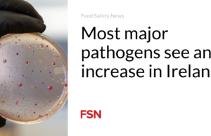 Sebagian besar patogen utama mengalami peningkatan di Irlandia