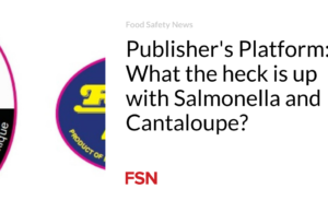 Ada apa dengan Salmonella dan Blewah?