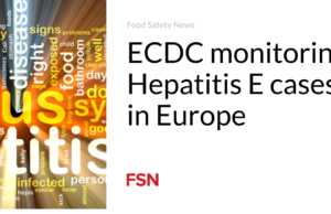 ECDC memantau kasus Hepatitis E di Eropa