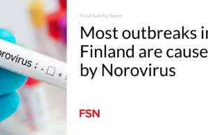 Kebanyakan wabah di Finlandia disebabkan oleh Norovirus