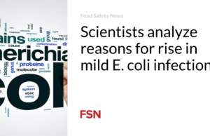 Para ilmuwan menganalisis alasan peningkatan infeksi E. coli ringan