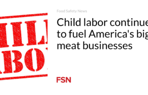 Pekerja anak terus menjadi bahan bakar bagi bisnis daging besar di Amerika