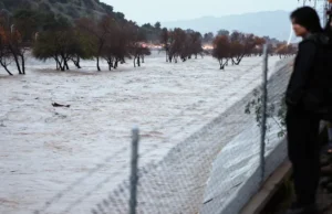 Arti El Niño bagi pertanian dan harga pangan global