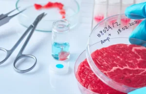 ‘Benar-benar salah arah’: Bagaimana industri daging yang dibudidayakan merespons reaksi buruk dari legislatif