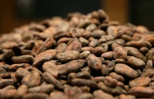 Melonjaknya harga kakao dapat menyebabkan kejutan stiker Hari Valentine