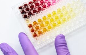 Phytolon, Ginkgo Bioworks mencapai tonggak sejarah dengan warna alami