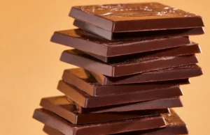 Apakah masa depan coklat bebas kakao? Voyage Foods berpendapat demikian