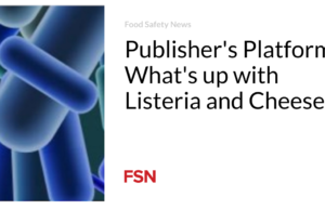 Platform Penerbit: Ada apa dengan Listeria dan Keju