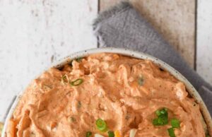 Saus Salsa Keju Krim – Habiskan Dengan Uang