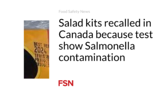 Peralatan salad ditarik kembali di Kanada karena tes menunjukkan kontaminasi Salmonella