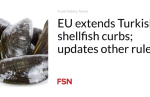 UE memperluas pembatasan terhadap kerang di Turki; memperbarui aturan lainnya
