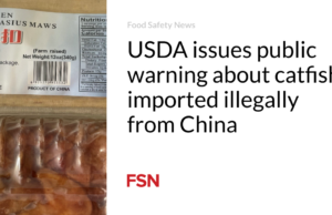 USDA mengeluarkan peringatan publik tentang ikan lele yang diimpor secara ilegal dari Tiongkok