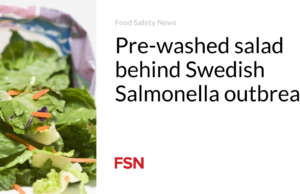 Salad yang sudah dicuci sebelumnya di balik wabah Salmonella Swedia