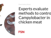 Para ahli mengevaluasi metode pengendalian Campylobacter pada daging ayam