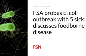FSA menyelidiki wabah E. coli dengan 5 orang sakit; membahas penyakit bawaan makanan