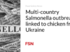Wabah Salmonella multi-negara terkait dengan ayam dari Ukraina