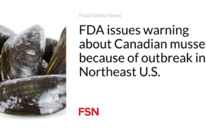 FDA mengeluarkan peringatan tentang kerang Kanada karena wabah di Amerika Timur Laut
