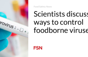 Para ilmuwan mendiskusikan cara mengendalikan virus yang ditularkan melalui makanan