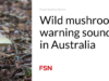 Peringatan jamur liar terdengar di Australia
