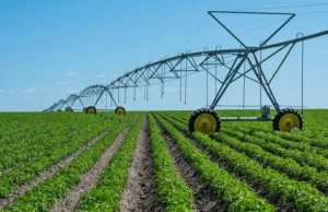 Perusahaan makanan menangani emisi Lingkup 3 meskipun peraturan SEC lemah: ahli