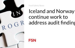 Islandia dan Norwegia terus berupaya mengatasi temuan audit