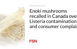 Jamur Enoki ditarik kembali di Kanada karena kontaminasi Listeria dan keluhan konsumen