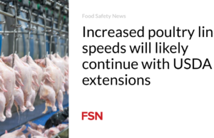 Peningkatan kecepatan jalur unggas kemungkinan akan berlanjut dengan perluasan USDA