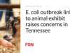 Wabah E. coli terkait dengan pameran hewan menimbulkan kekhawatiran di Tennessee