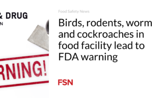 Burung, hewan pengerat, cacing dan kecoa di fasilitas makanan menyebabkan peringatan FDA