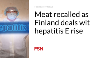 Daging ditarik kembali saat Finlandia menghadapi peningkatan hepatitis E