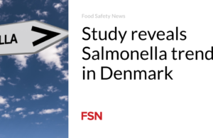 Studi mengungkap tren Salmonella di Denmark