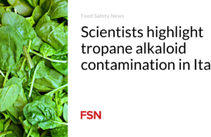 Para ilmuwan menyoroti kontaminasi alkaloid tropana di Italia