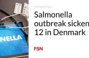 Wabah Salmonella membuat 12 orang sakit di Denmark
