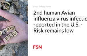 Infeksi virus Avian influenza pada manusia ke-2 yang dilaporkan di AS – Risikonya tetap rendah