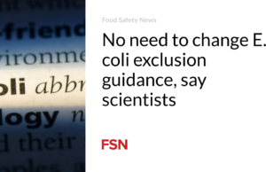 Tidak perlu mengubah panduan pengecualian E. coli, kata para ilmuwan