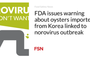 FDA mengeluarkan peringatan tentang tiram yang diimpor dari Korea terkait dengan wabah norovirus
