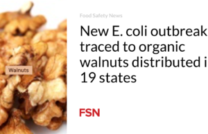 Wabah E. coli baru ditelusuri ke kenari organik yang didistribusikan di 19 negara bagian
