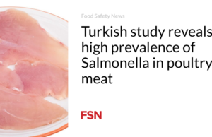 Penelitian di Turki mengungkapkan tingginya prevalensi Salmonella pada daging unggas