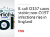Kasus E. coli O157 stabil; infeksi non-O157 meningkat di Inggris