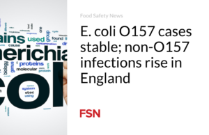 Kasus E. coli O157 stabil; infeksi non-O157 meningkat di Inggris