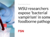 Peneliti WSU mengungkap ‘vampirisme bakteri’ pada beberapa patogen bawaan makanan