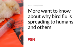 Lebih ingin tahu kenapa flu burung bisa menular ke manusia dan orang lain