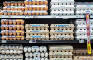 Cal-Maine menghentikan operasi di fasilitas Texas setelah flu burung terdeteksi