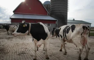 General Mills berencana mengurangi emisi produk susu sebesar 40% pada akhir dekade ini