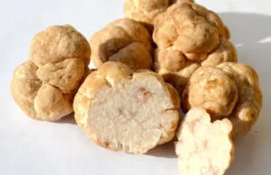 Bahan dalam Fokus: Pemanis truffle madu