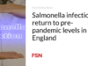 Infeksi Salmonella kembali ke tingkat sebelum pandemi di Inggris