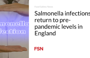 Infeksi Salmonella kembali ke tingkat sebelum pandemi di Inggris