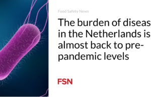 Beban penyakit di Belanda hampir kembali ke tingkat sebelum pandemi