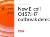 Wabah E. coli O157:H7 baru terdeteksi